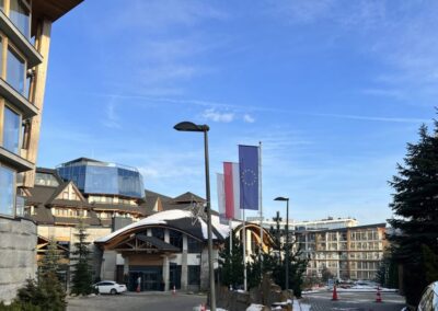 1a 980x603 1 400x284 - Fitoterapia XXI wieku