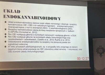 9a 980x735 1 400x284 - Fitoterapia XXI wieku